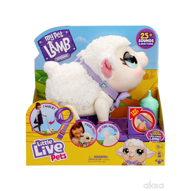 LLP  LAMB SNOWIE 