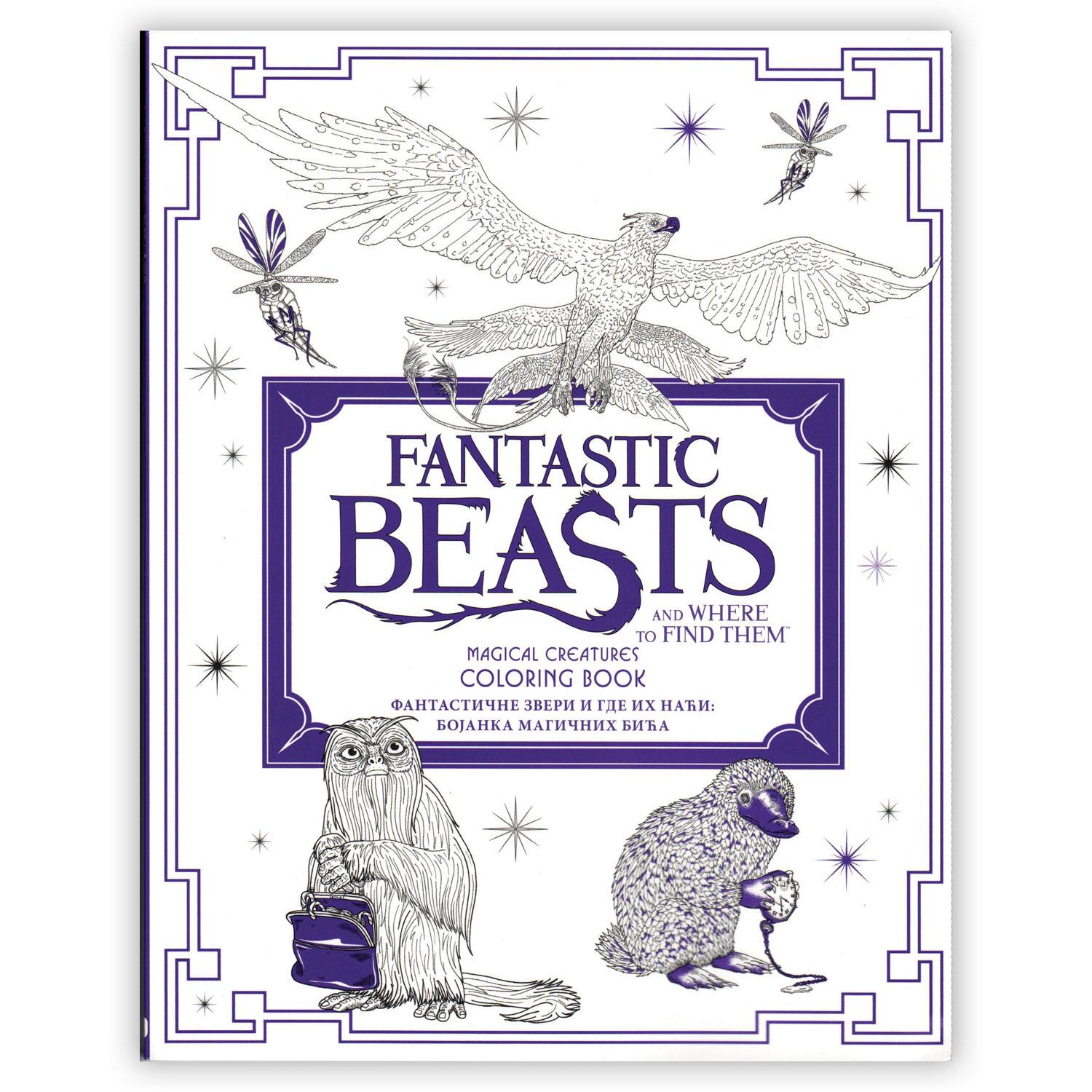 This book is fantastic. Magical creatures Vocabulary.